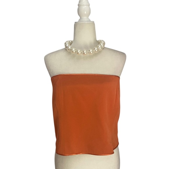 Sylvia Heisel Designer Burnt Orange Silk-Blend Strapless Bustier Top - Picture 2 of 7